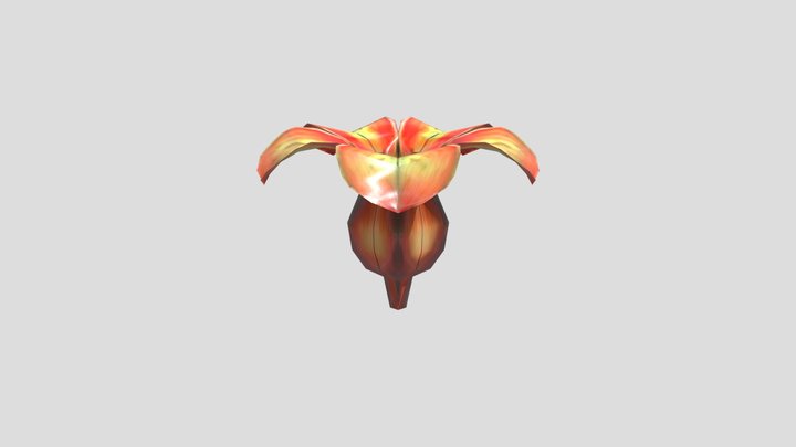 hupepa 3D Model