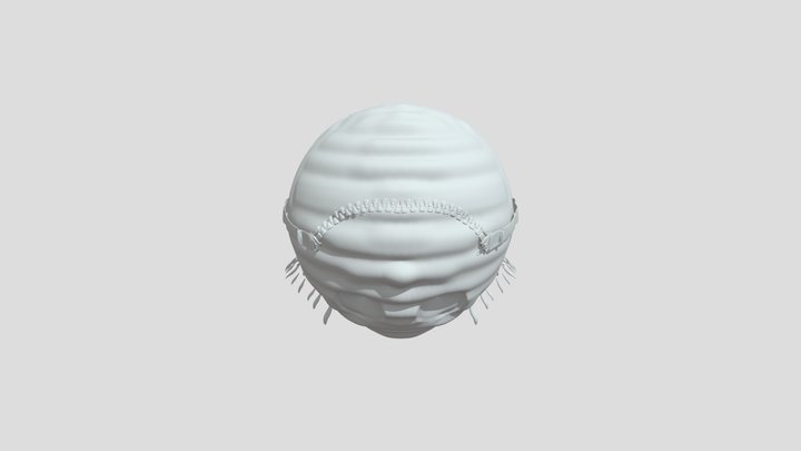 Boiii 3D Model