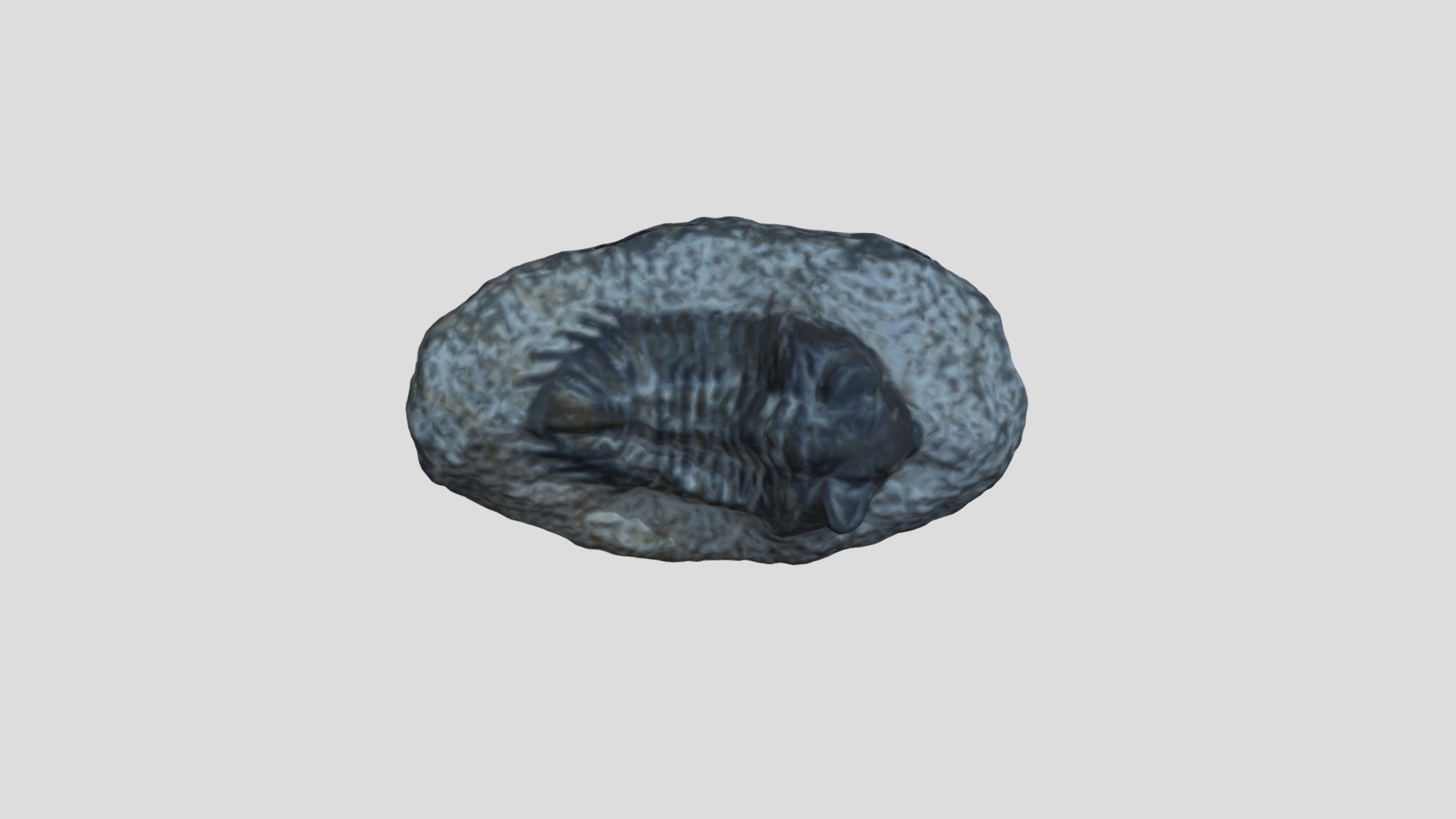 Trilobite