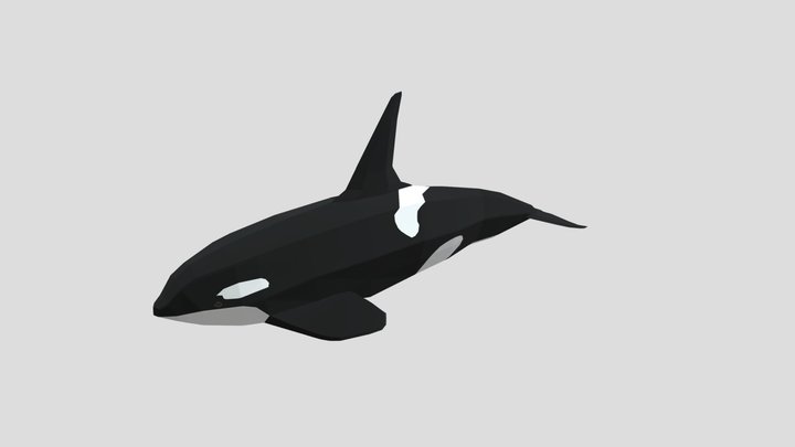 Orca Whale Low Poly 3D Model
