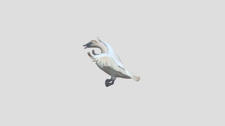 Goose