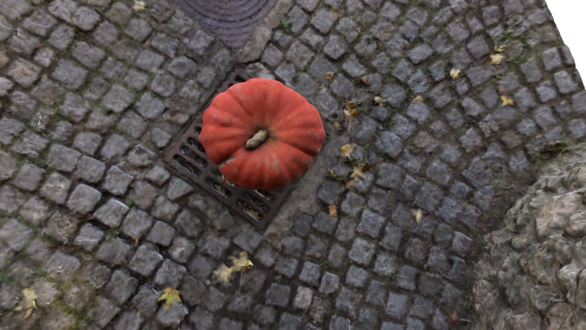 Citrouille