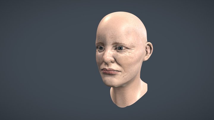 Amelia Earhart Bust 3D Model