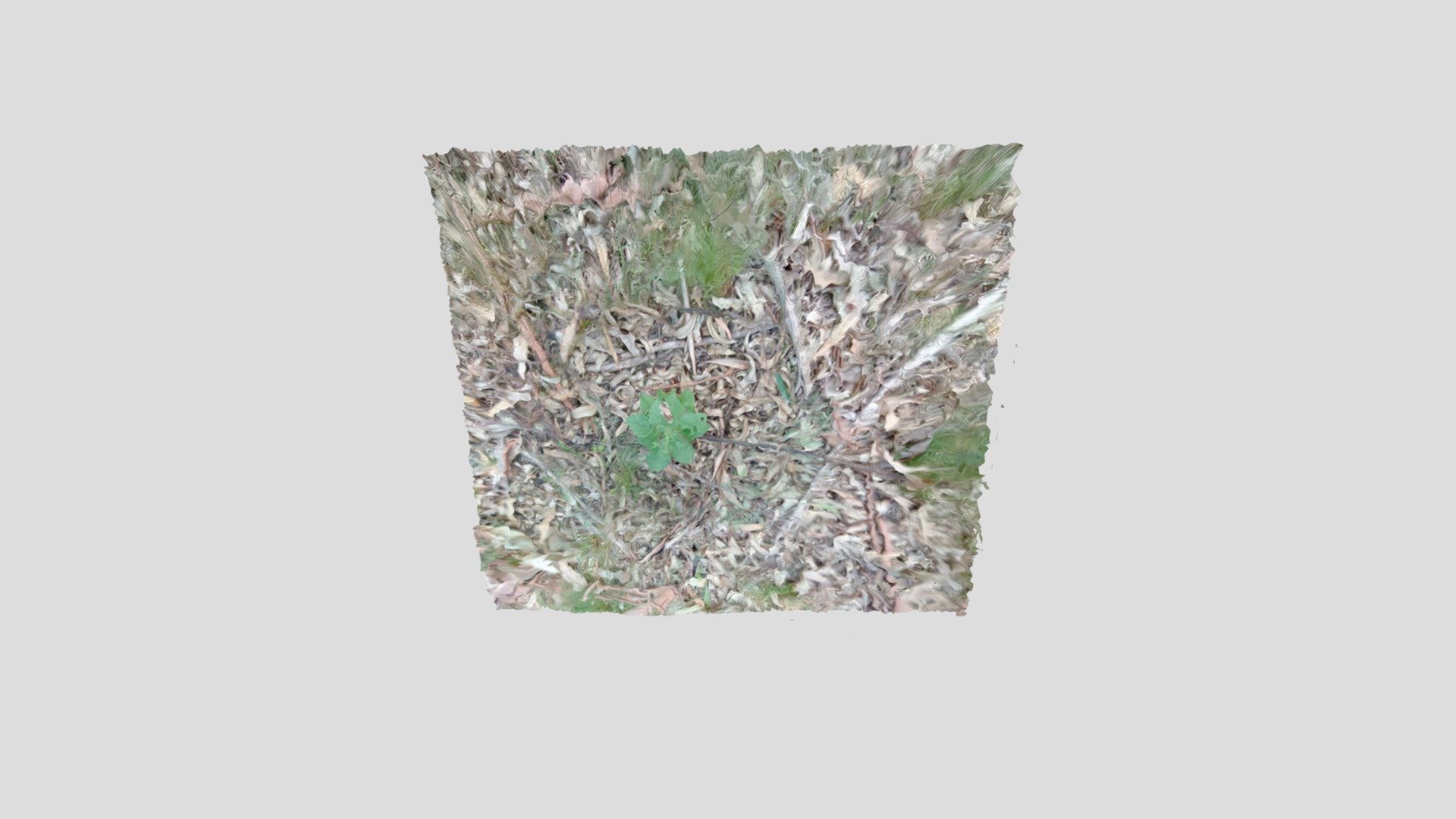 Mifotorealístico reconstrucción 3D