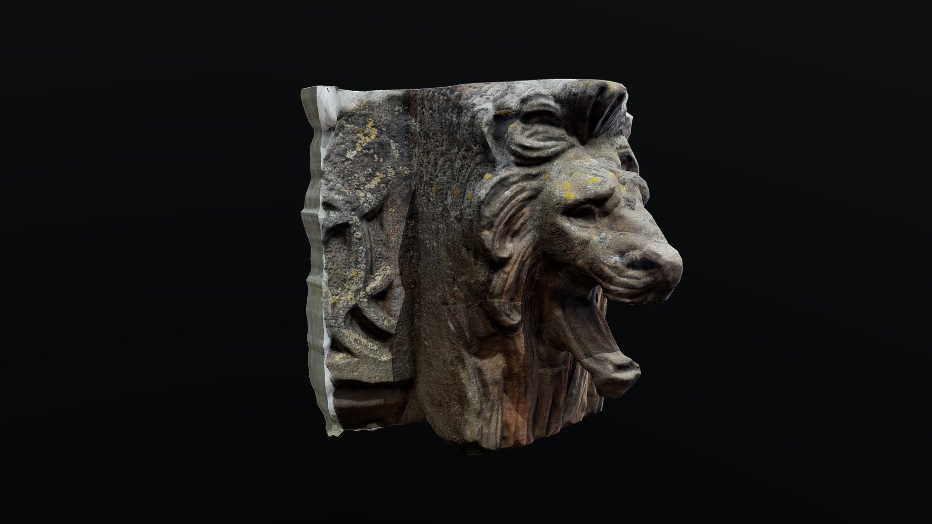 BremenLionHeadScan