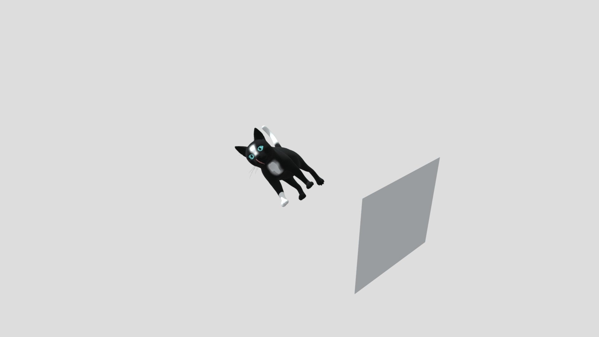 my new cat oc