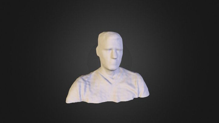 Scan Test 3D Model