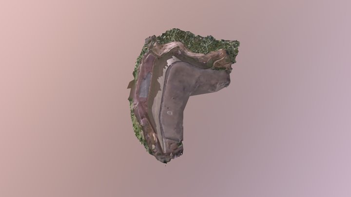 PC1 GUASIMAS 3D Model