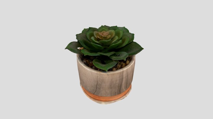 Succulent Plant – Made with PhotoCatch 3D Model