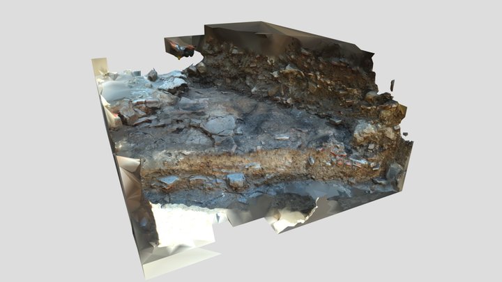 Step_LOD0 3D Model