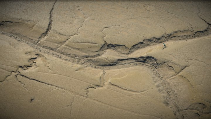 Tidal tree, seacoast, shore, mud flat – Gratis 3D-model STL