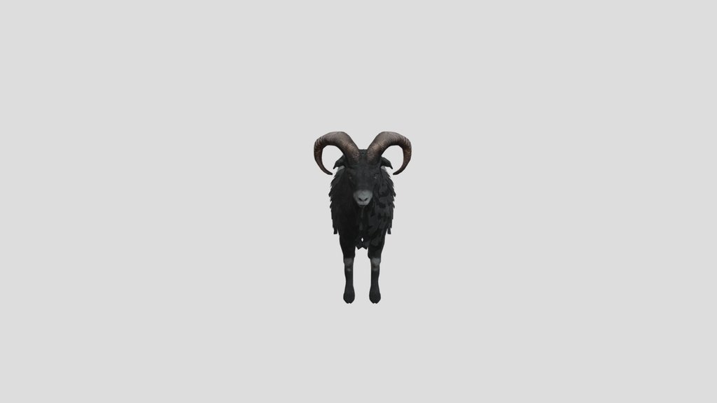 Ovis Animated