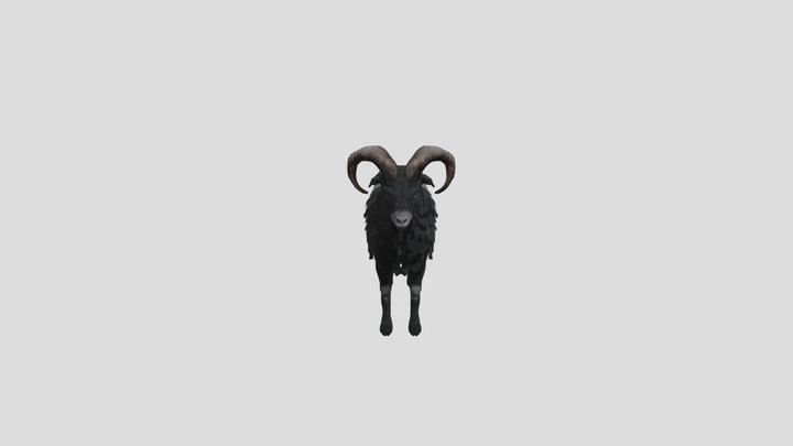 Ovis Animated – Modèle 3D gratuit STL