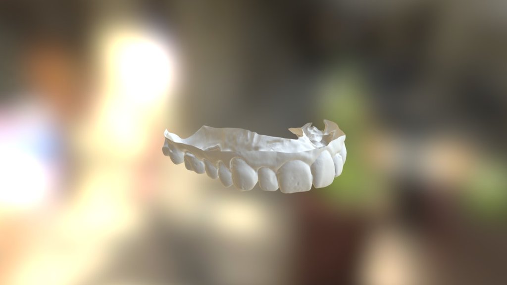 Priscilla Upper Jaw — Sketchfab embed 3D viewer