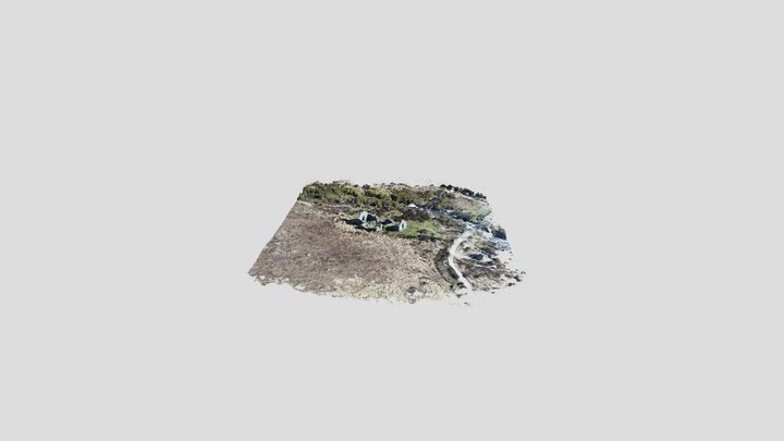 Site_in_CO_Wicklow 3D Model