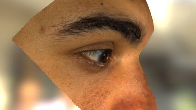 Human Eye Obj 3D Model