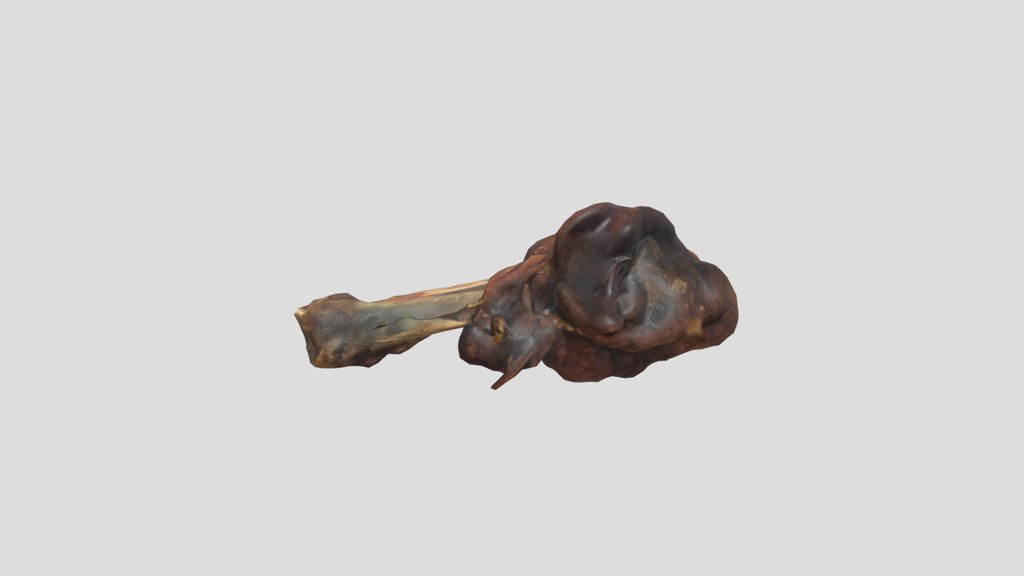 Roasted Leg