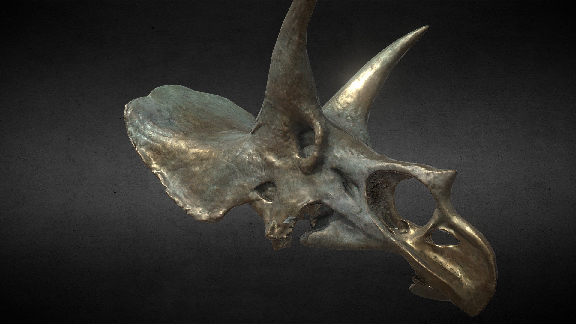Dino Skull, 4K bronze textures, 7k tris