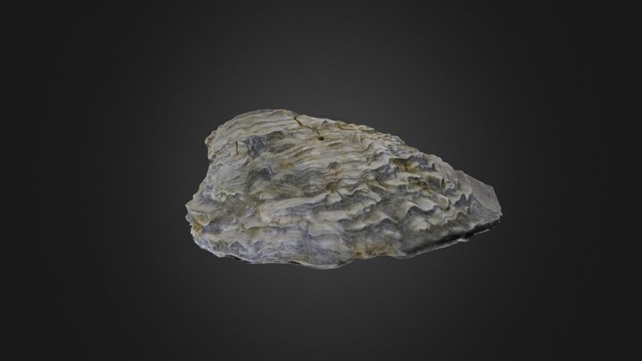 Bivalve: Ostrea sp. (PRI 70602) – Gratis 3D-model STL