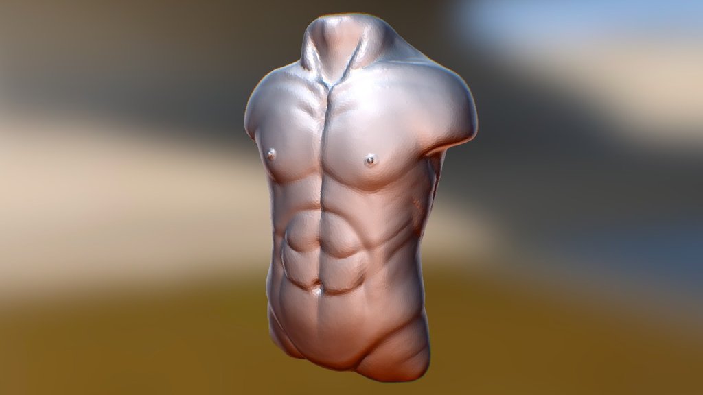 SculptJanuary Day 24 : Torso