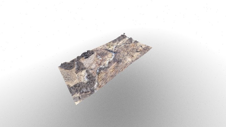 Untitled_optimized 3D Model