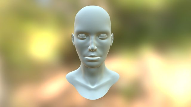 face test 3D Model