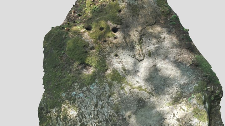Incisioni rupestri - Masso-Altare 3D Model