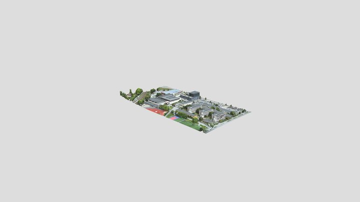 Tibble 3D Model