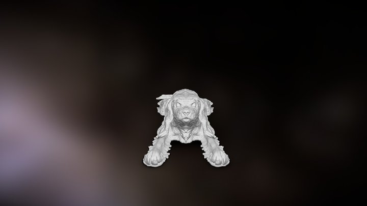 Cavalier King Charles Spaniel 3D Model