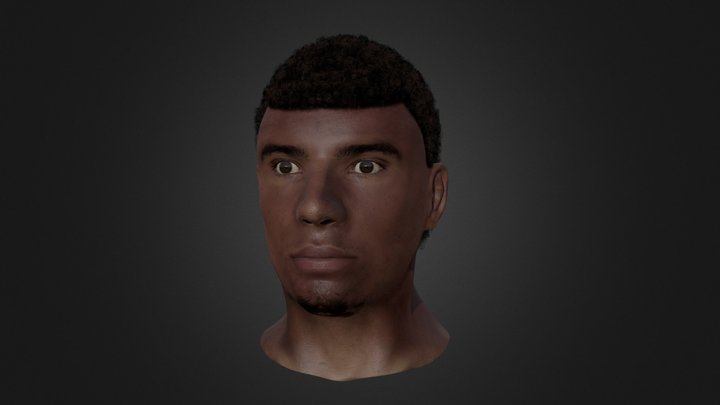 Textured Male Human Head 3D Model