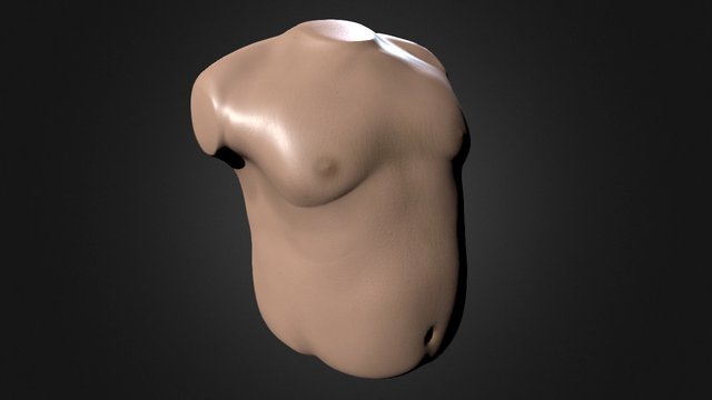 Fat Male Torso 3D Model