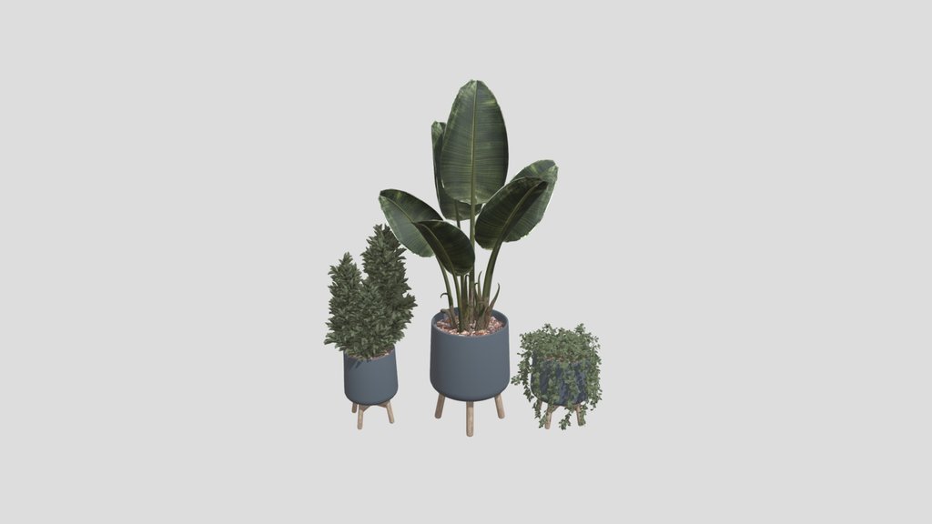 Plant Set
