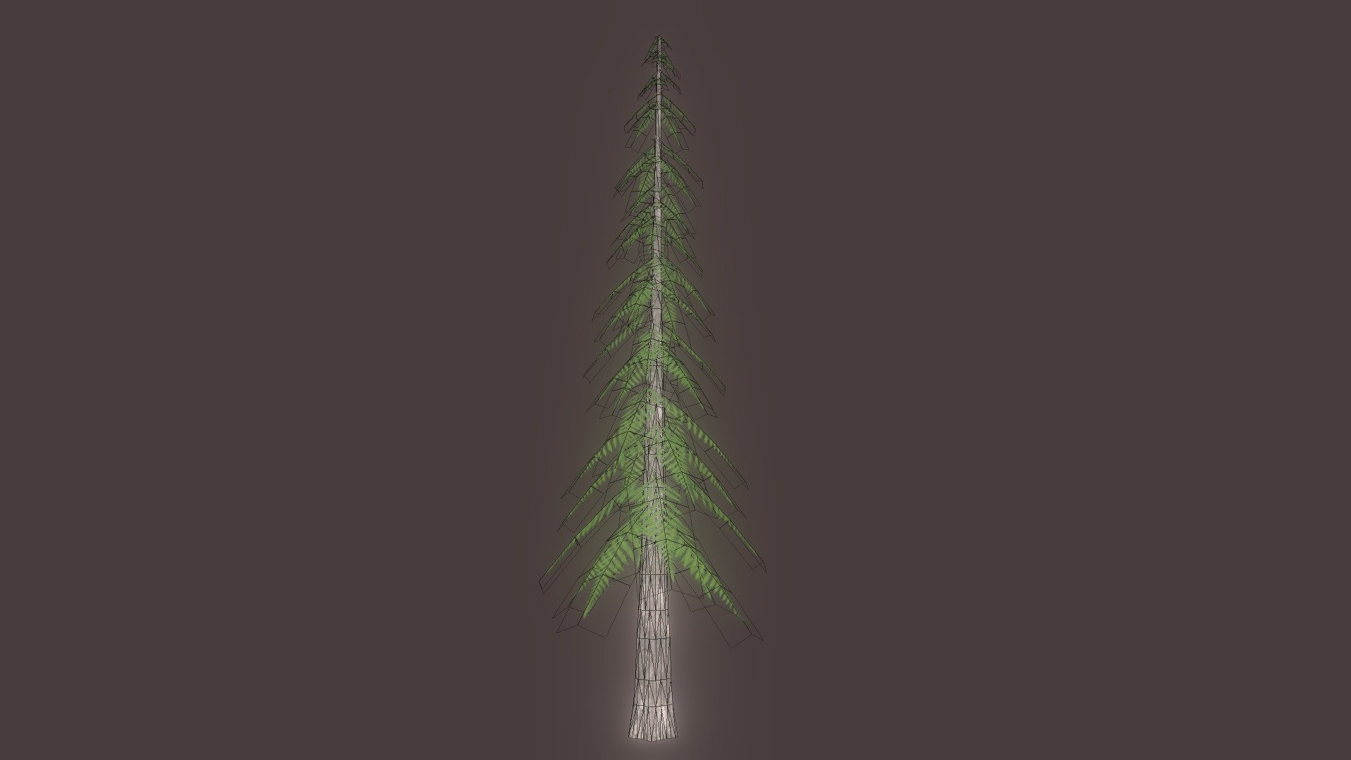 Pinheiro Pine