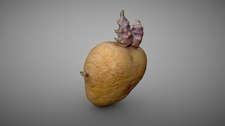 Sprouted Potato III 3D Model