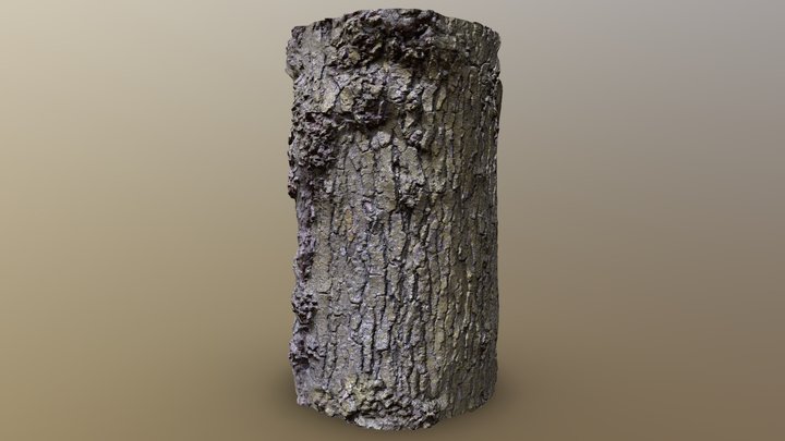 Free Tree Bark Texture - Tileable Photoscan 3D Model