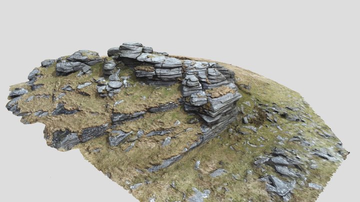 Dartmoor Black Tor 3D Model