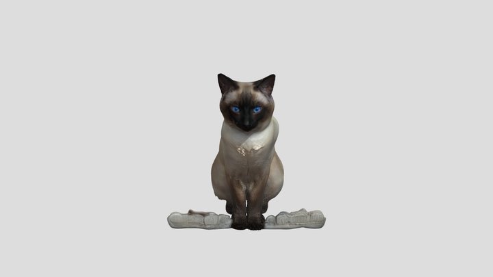 Confident Cat Counters 3D Model
