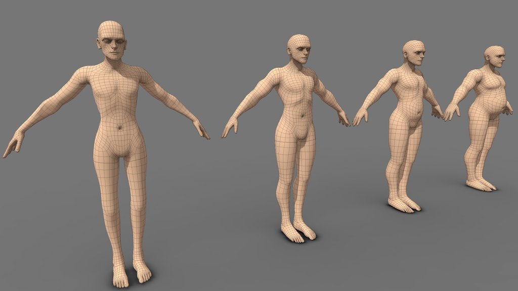 Body_Base_Meshes - A 3D model collection by JohnEphr (@DarkArms ...