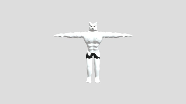 BAUM BRADEN 3D Model