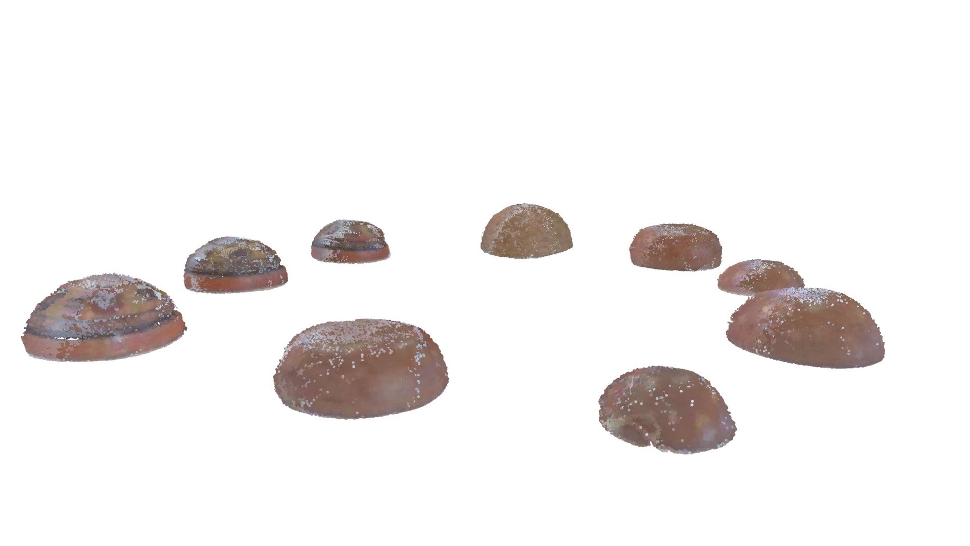 YAQUI GOURD BOWLS |  BRITISH MUSEUM LONDON, UK — Sketchfab embed 3D viewer