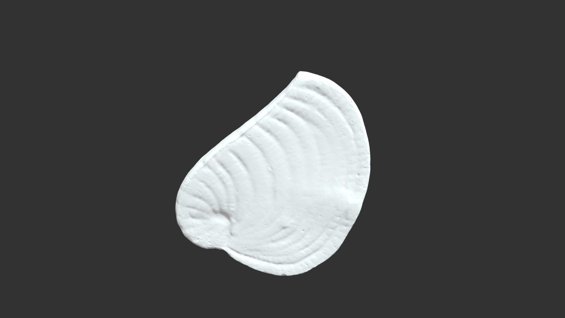 Peneroplis planatus (206505) 3D model by Photo3D (vect3d) [2c60677