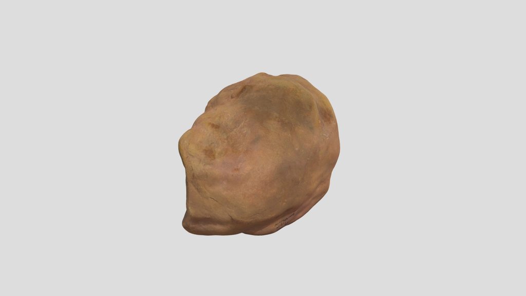 Taung Child - Endocast