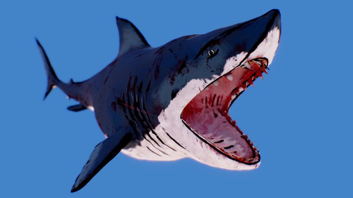 Toony shark 3D Model