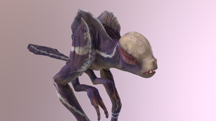 Leaf Crawler Retopologised 3D Model