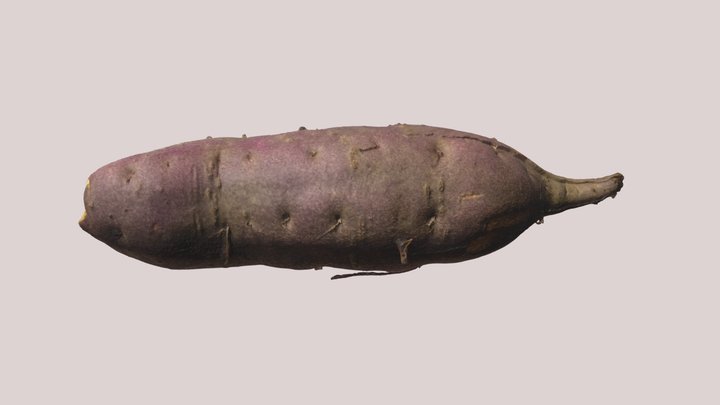 Sweet Potato 3D Model