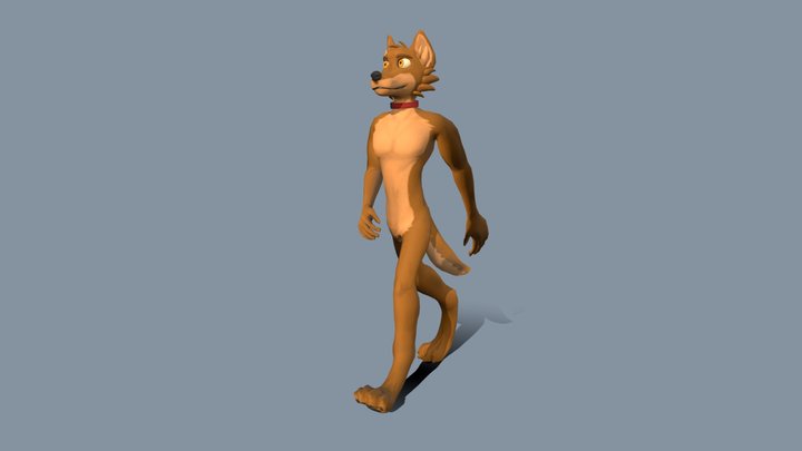 Walk cycle animation 3D Model