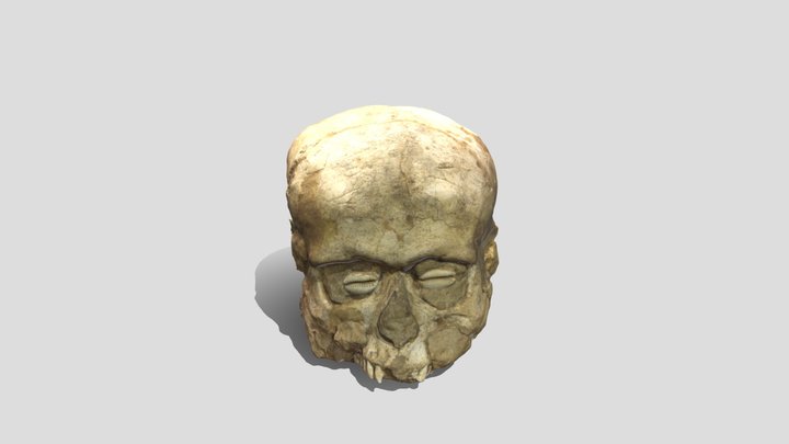 Jericho Skull 3D Model