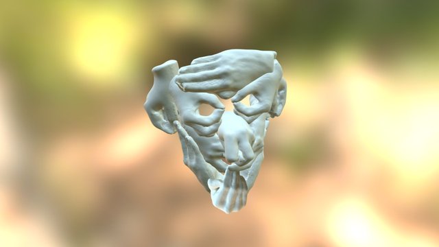 Hand Face 3D Model