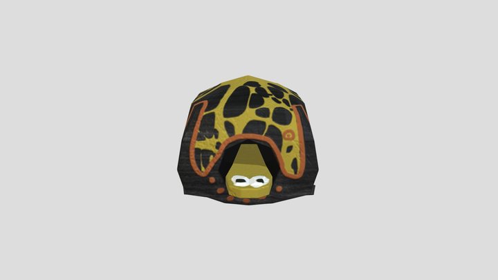 turtle model test 3D Model