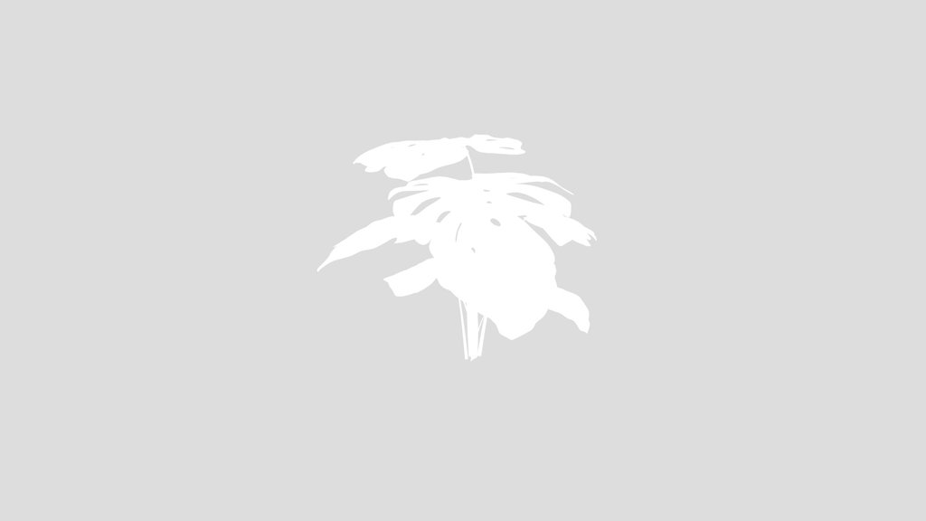 Tropical Monstera Plant
